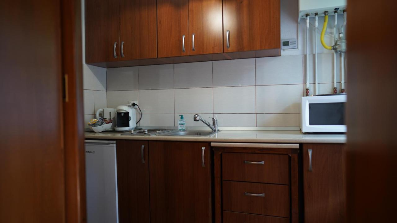 Historical House Apartment Sibiu Bagian luar foto